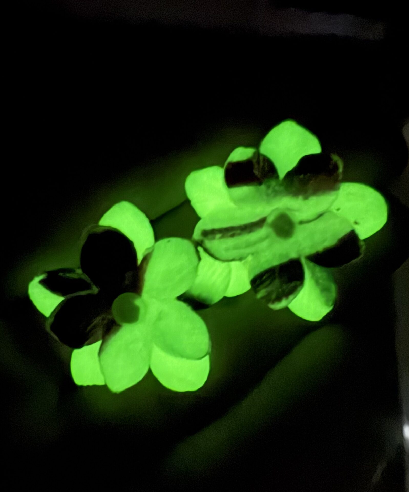 Σκουλαρίκια Glow 2 Σκουλαρίκια Glow - Image 2